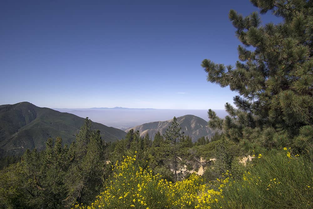 addiction treatment in san bernardino
