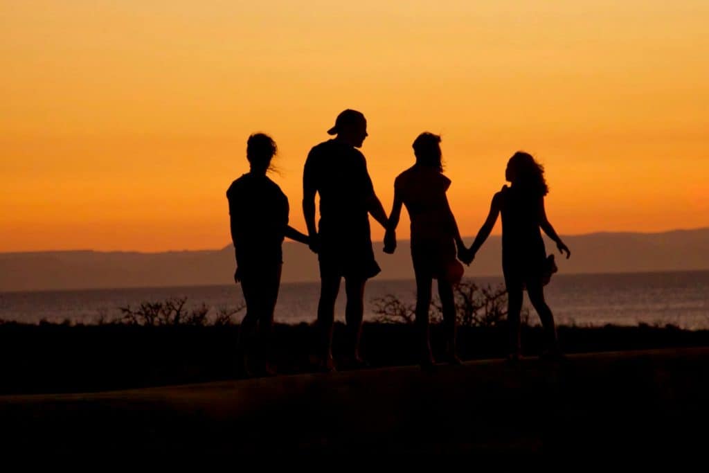 A family holds hands and looks into a sunset as they consider the benefits of family therapy.