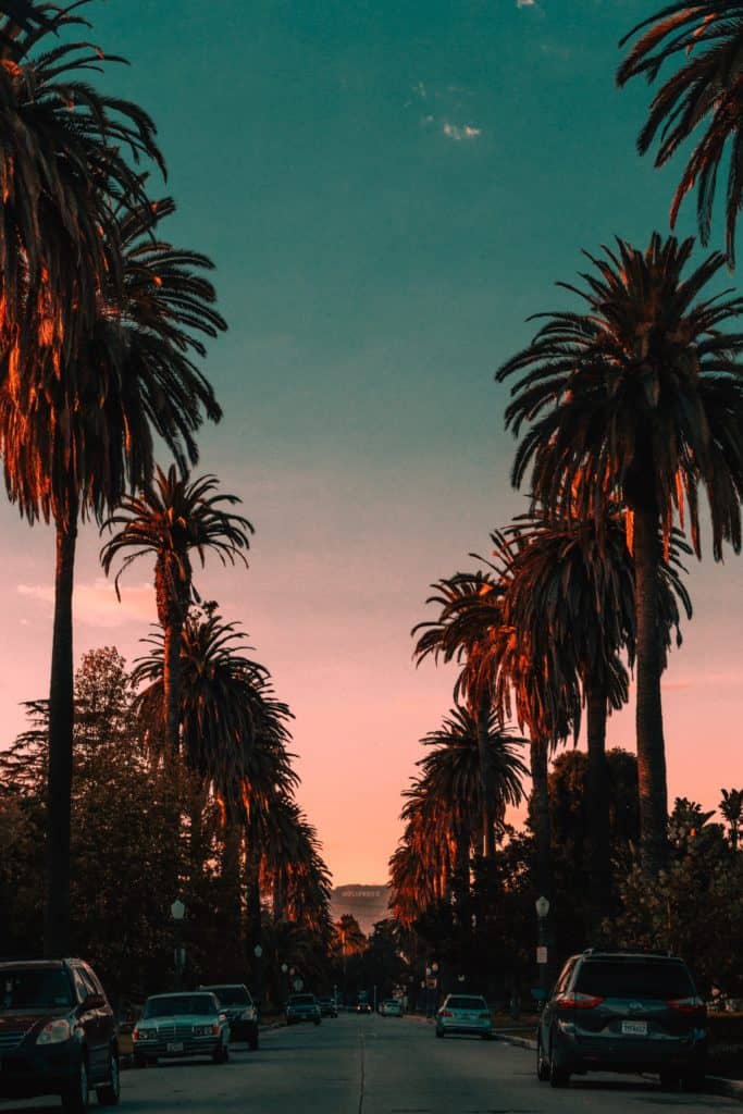 The sun sets behind a palm tree lined street in Orange County, the location of some of the best addictiofn treatment programs in the area.