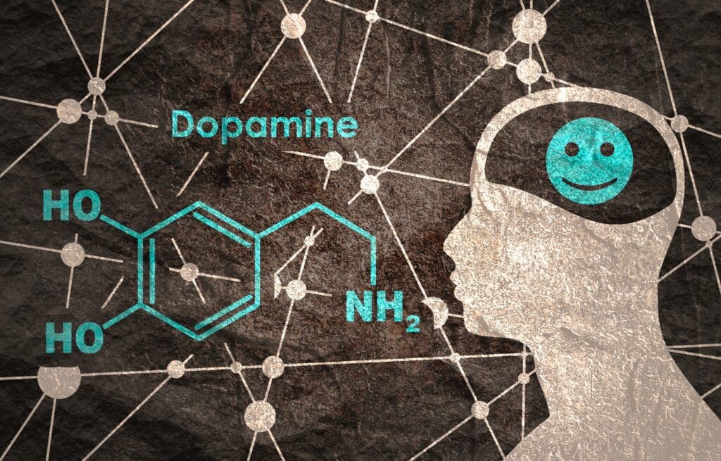 Dopamine in the brain